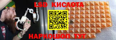 СК Кимры