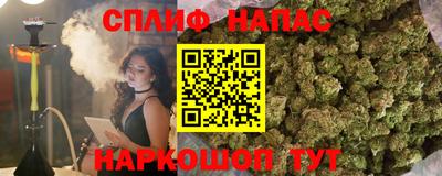 СК Кимры