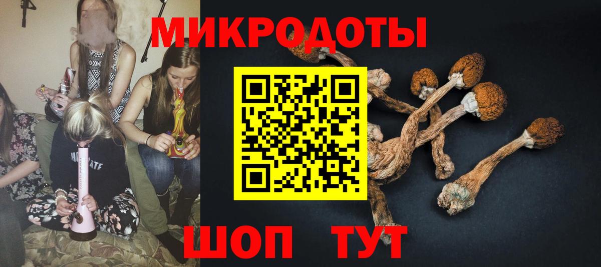 Галлюциногенные грибы Psilocybine cubensis  Вход с VPN  Буйнакск 